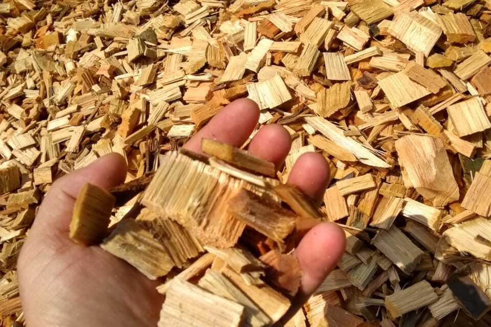 site está em manutenção!